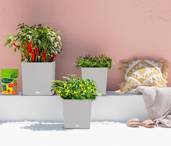 LECHUZA® Kunststoff-Topf Cube Cottage,