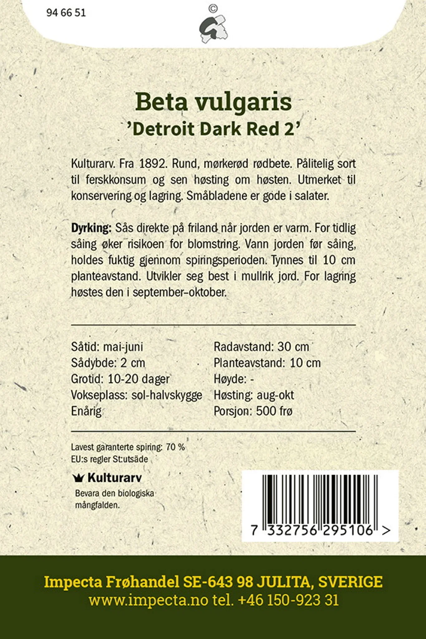 Beta vulgaris 'Detroit Dark Red 2' Rødbete 'Detroit Dark Red 2'