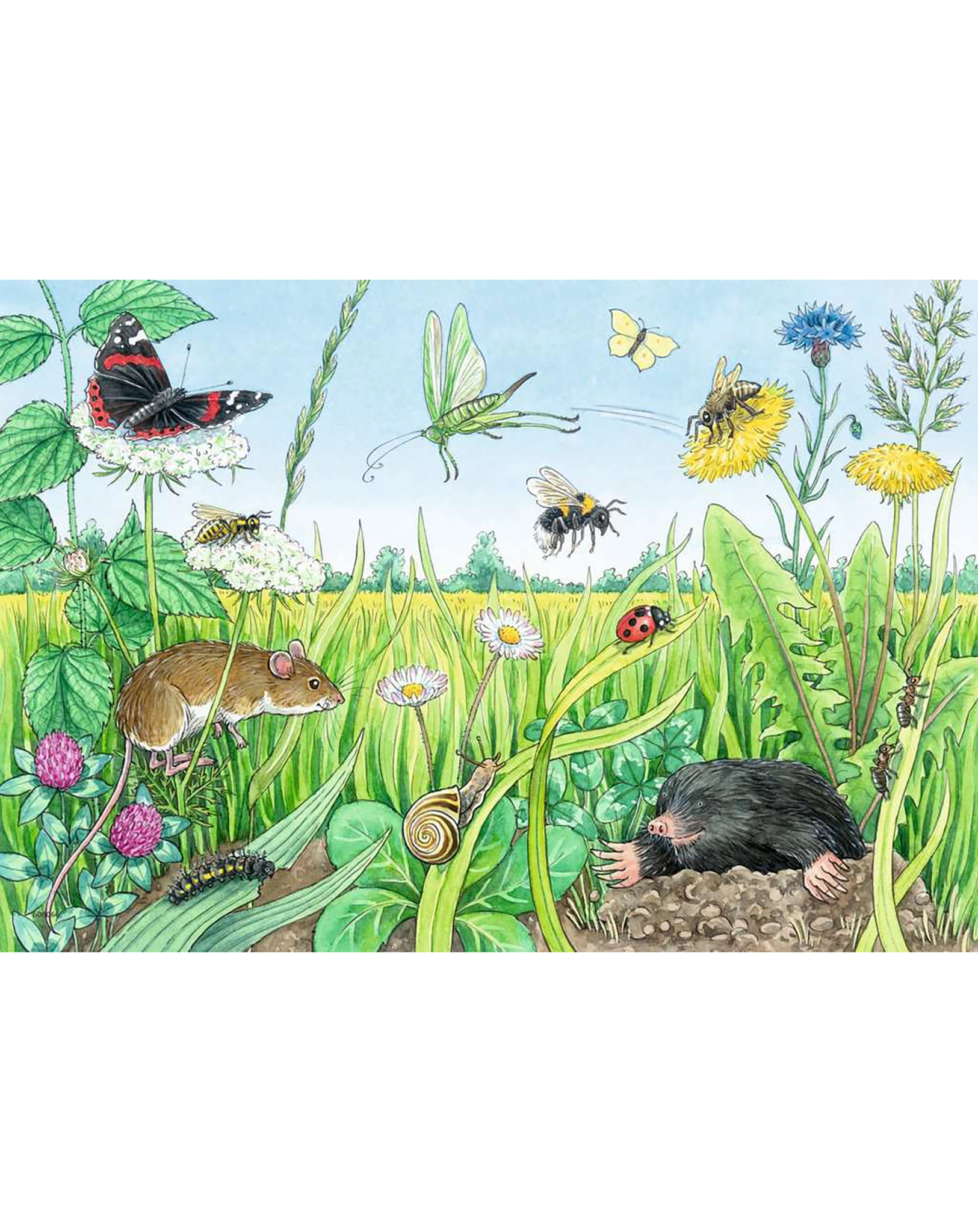 Puzzle WIESO? WESHALB? WARUM? - TIERE IM WALD UND AUF DER WIESE 2x12-teilig