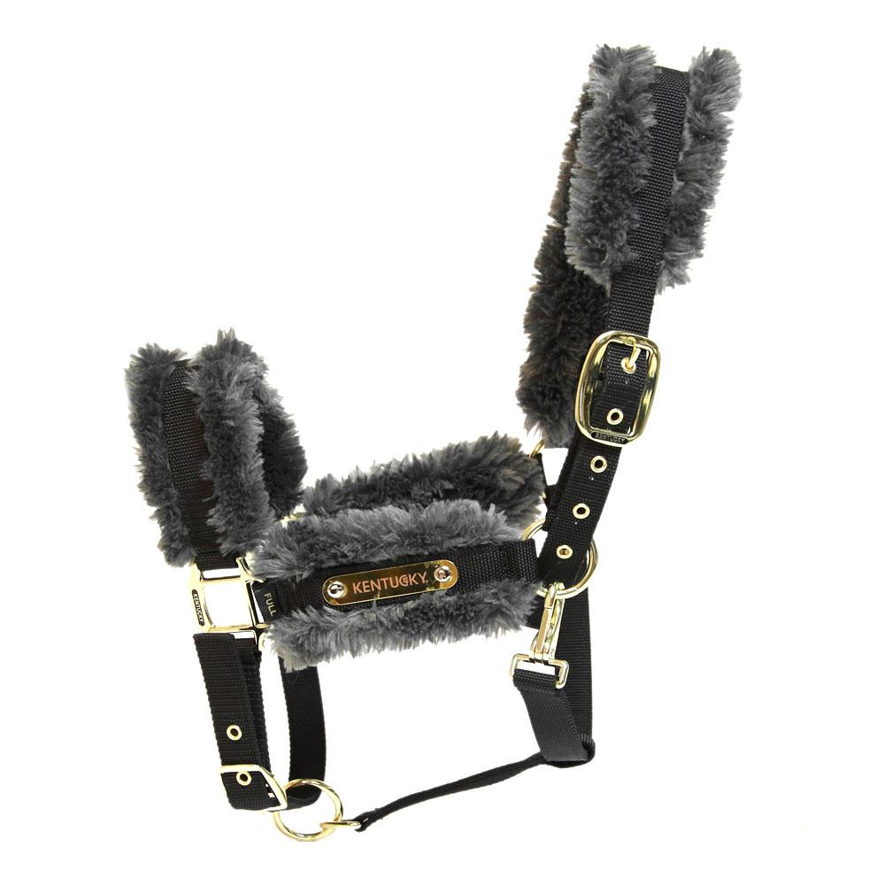 Kentucky NYLON MOUTON - Licol grey