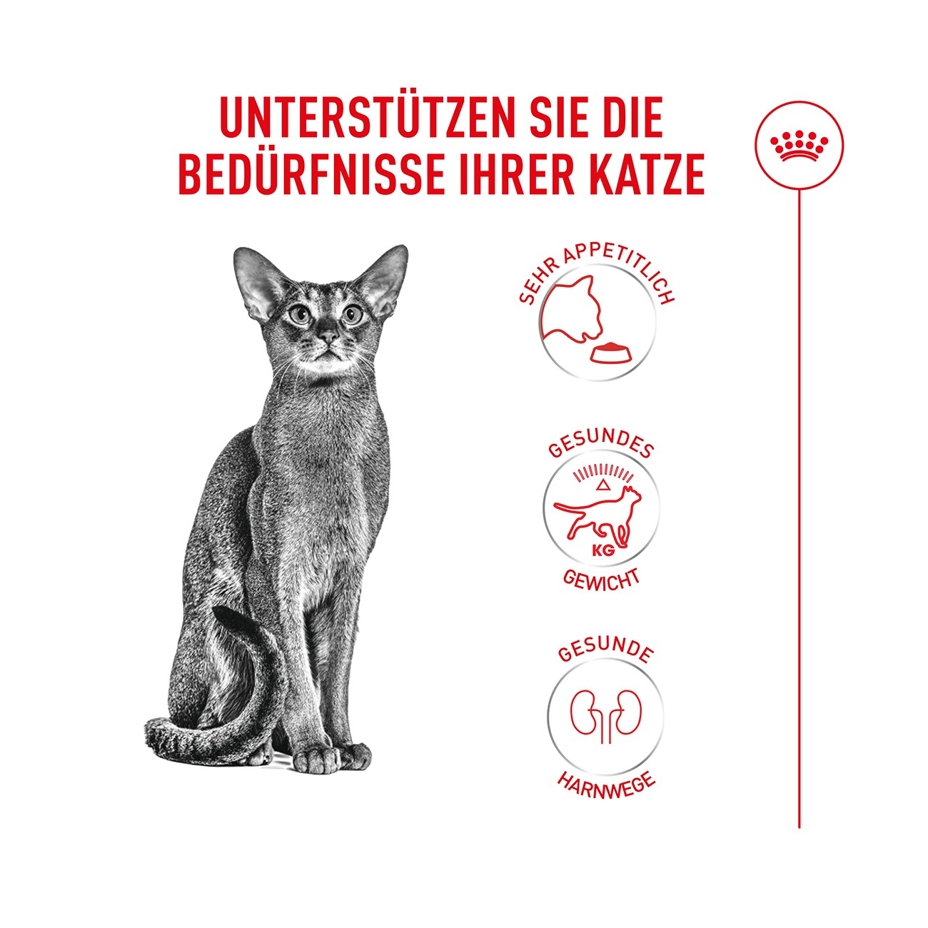ROYAL CANIN Trockenfutter Katze, Adult, Fussy Exigent 400 g