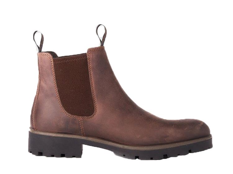 Dubarry 3954 15 Bruin