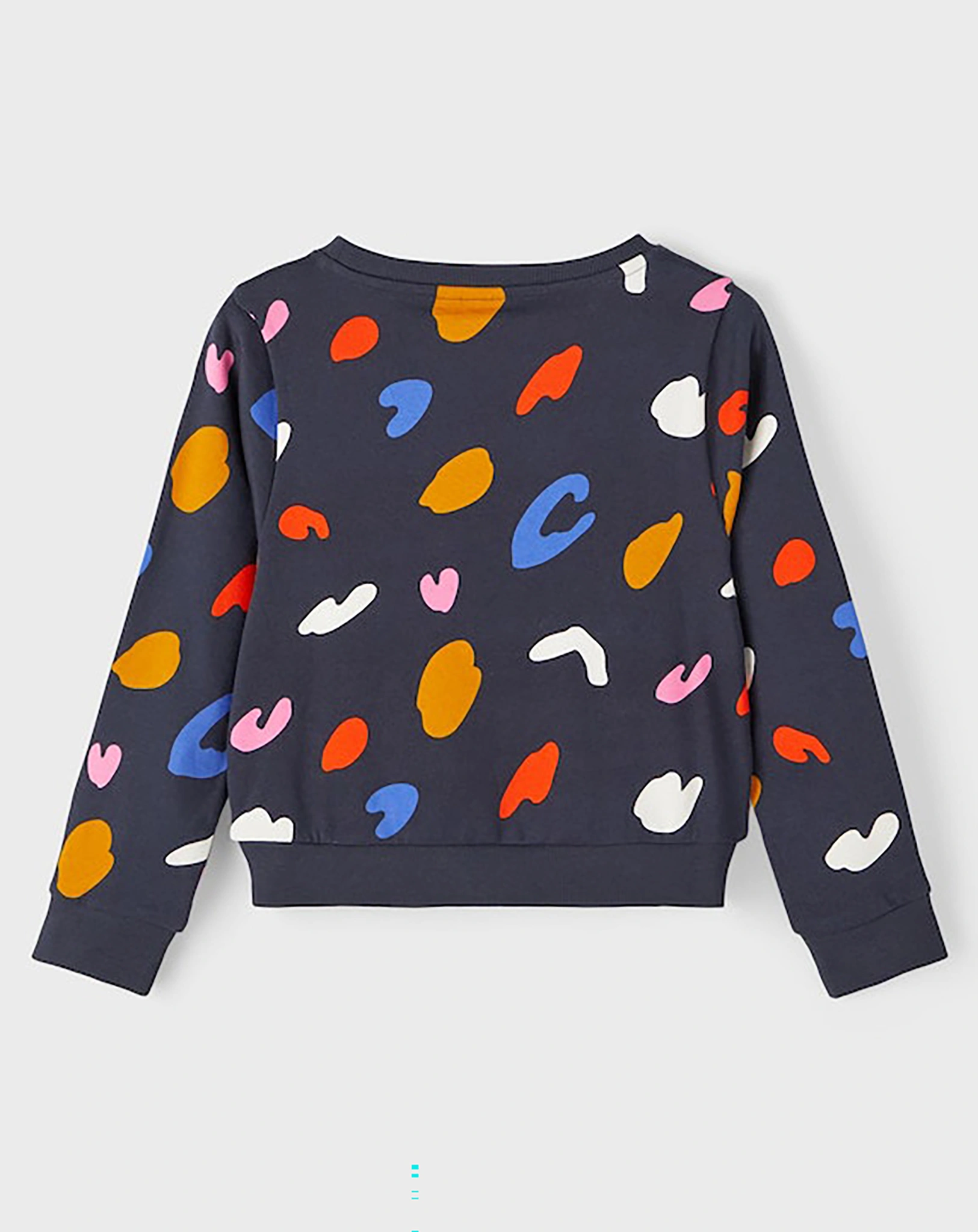 Sweatshirt NKFOBIGLEO in india ink