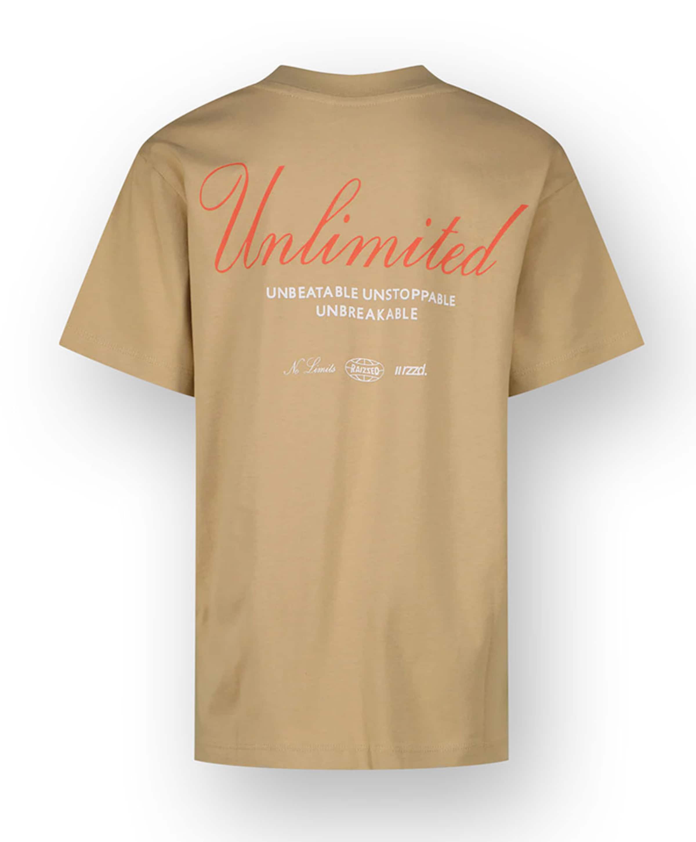 Raizzed Jongens T-shirt beige