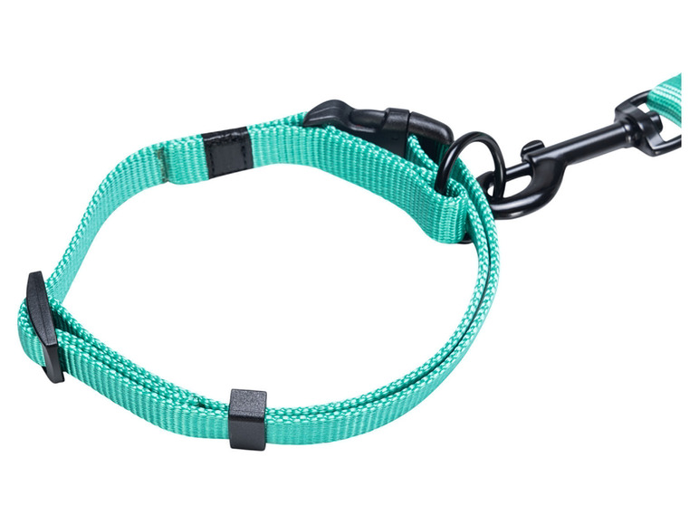 Halsband met lijn