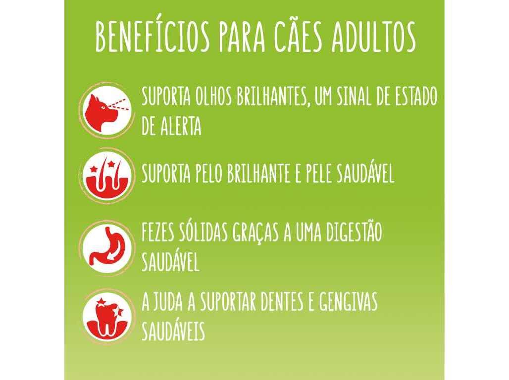 RAÇÃO PARA CÃO FRISKIES ACTIVE 14KG