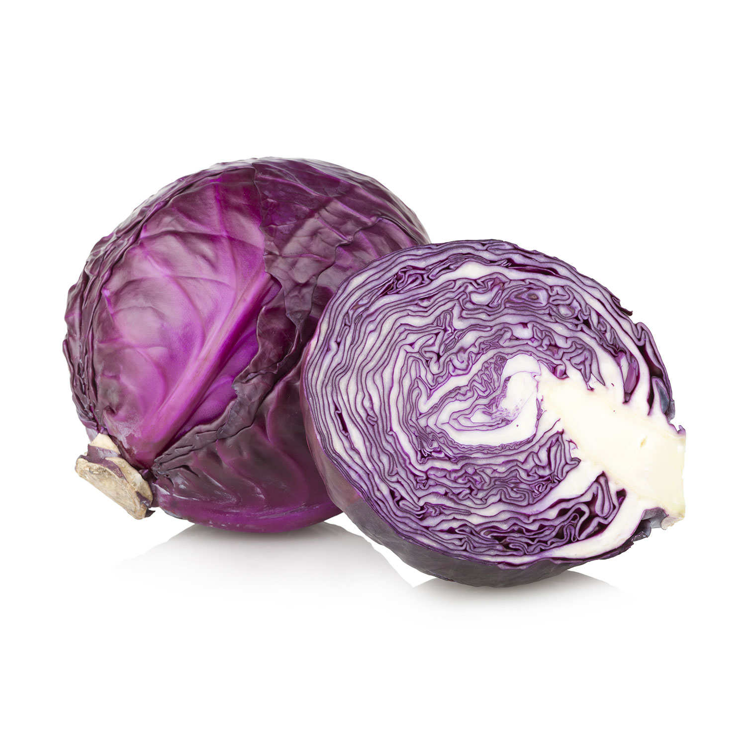 Chou cabus rouge bio