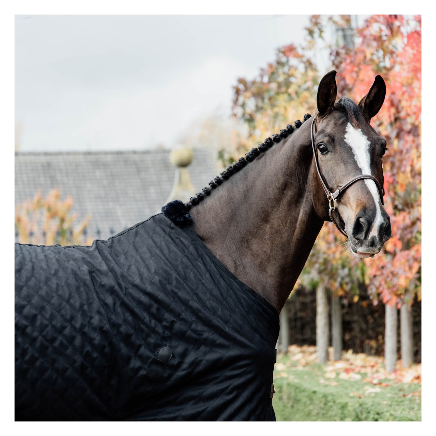KENTUCKY Stalldecke - black