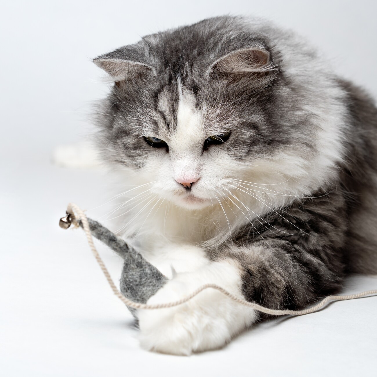 Catlabs Angelspielzeug Magische Maus aus Schafwolle & Bambus