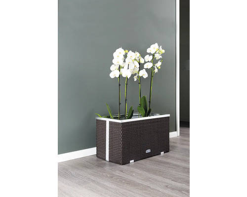 Polyrattan plantenbak 70x38x40 cm bruin-aluminium