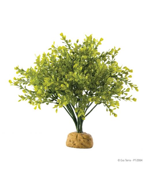 Exo Terra Rainforest Plant Boxwood Bush - Kunstplanten - per stuk