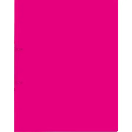 BRUNNEN Ringbuch FACT!pp, pink, A4