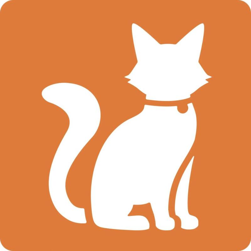Set de 6 pochoirs enfants, Chats - Orange
