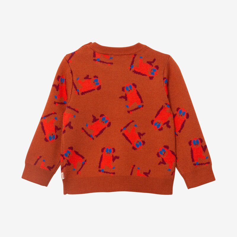 Pull bébé garçon jacquard skate Catimini Aucune nuance