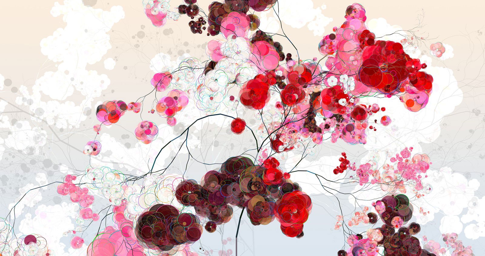 Rose Cherry II by Holger Lippmann - Limited Edition. Edition of: 150. Signed.