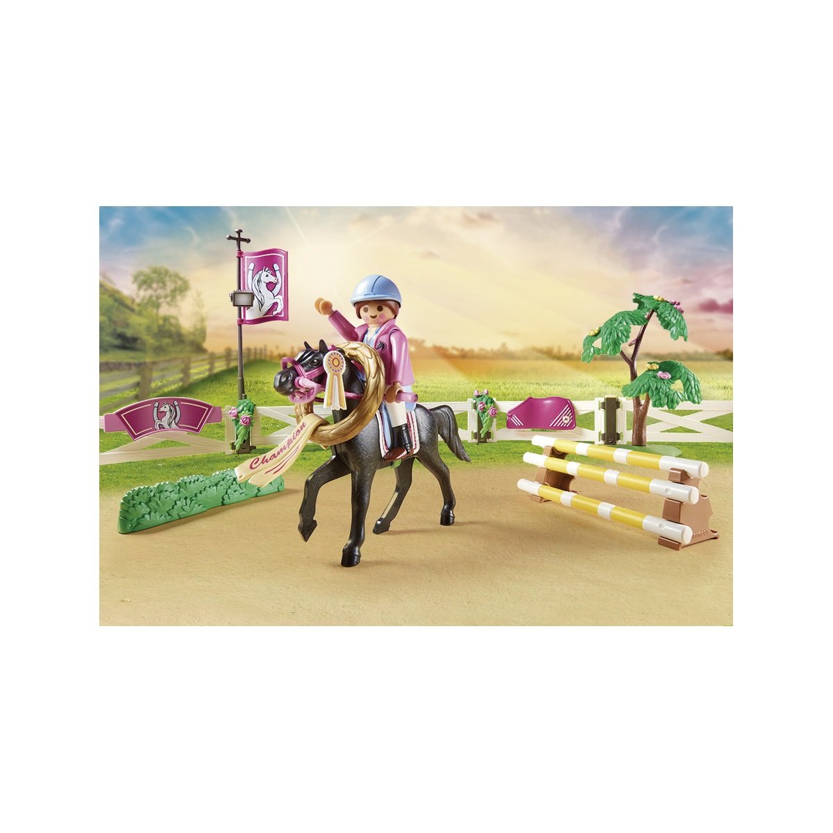 COUNTRY PARCOURS OBSTACLES CHEVAUX