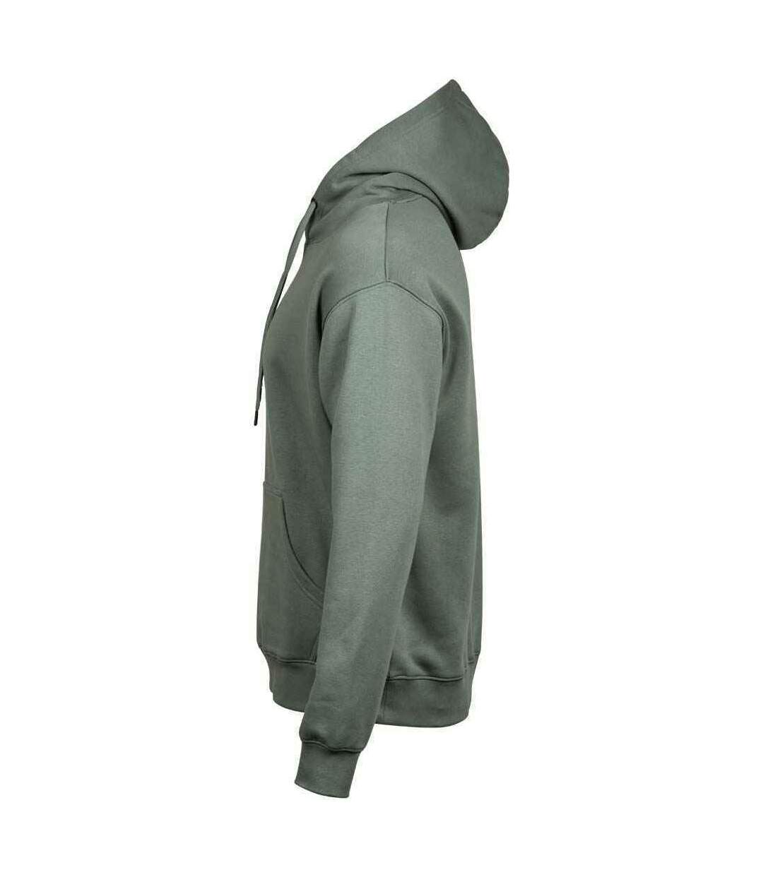 Tee Jays - Sweat CAPUCHE - Hommes (Vert de gris) - UTPC4097