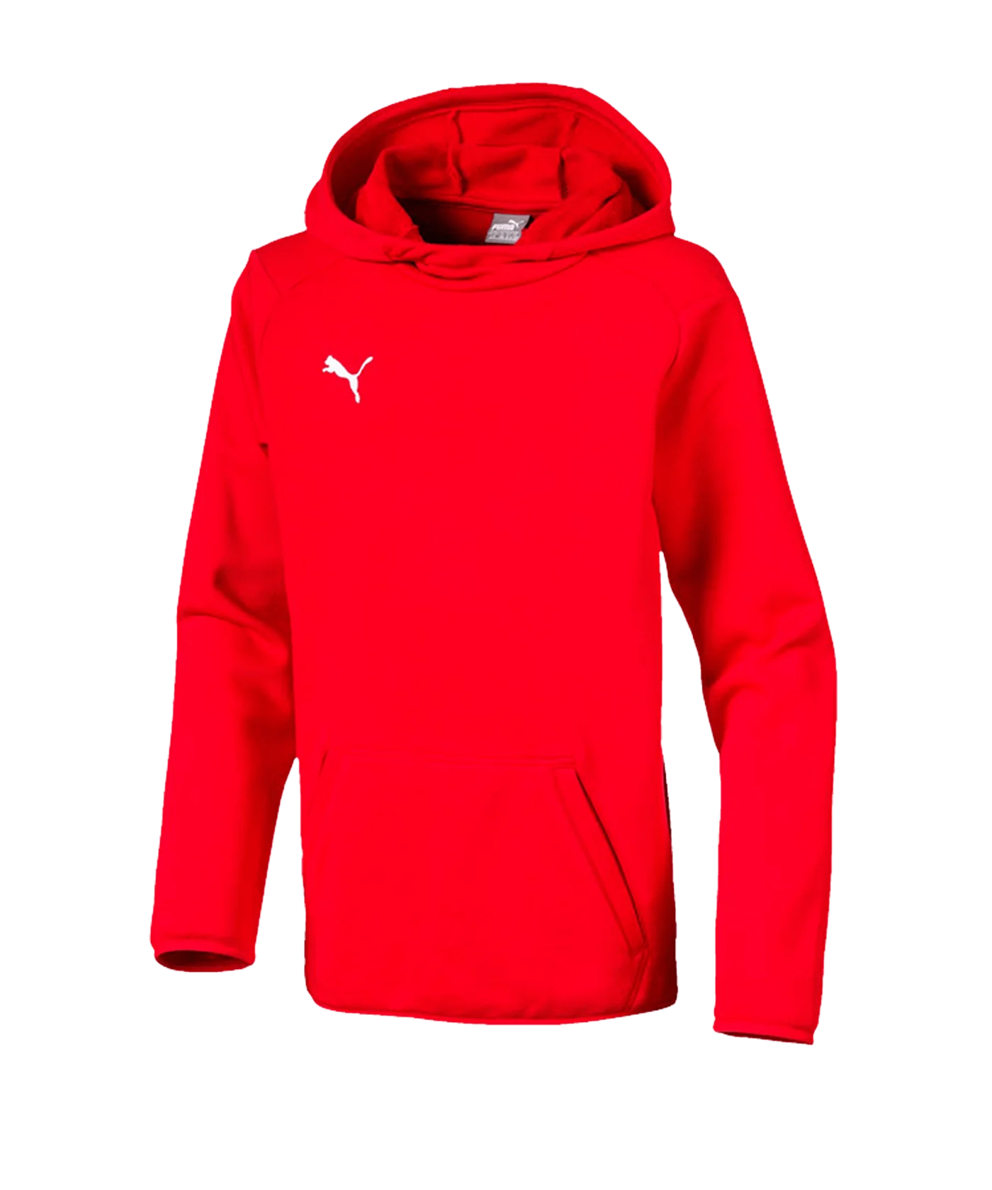PUMA LIGA Casuals Kapuzensweatshirt Kids Rot F01