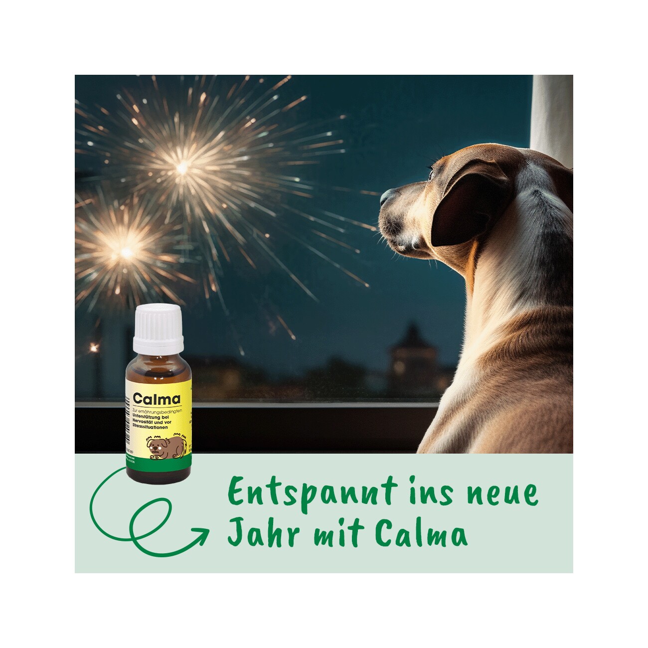 cdVet Calma 20 ml
