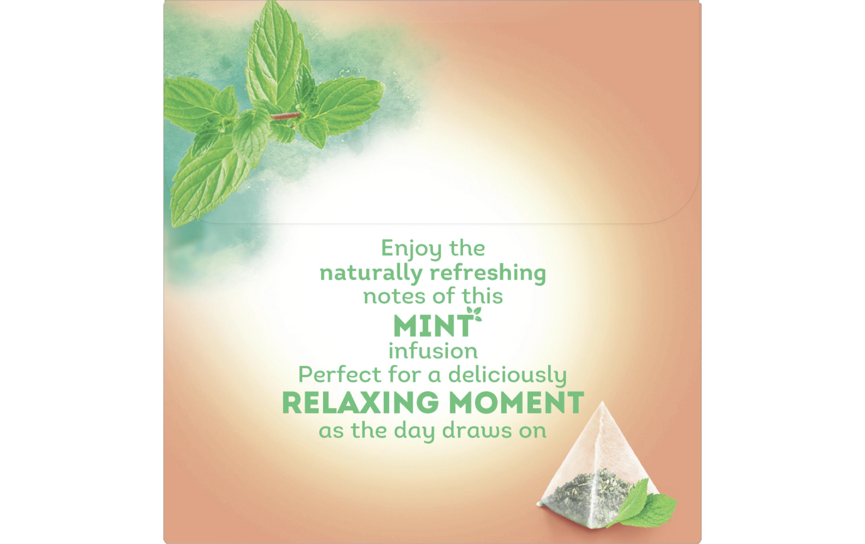 Teebeutel Mint 20 StückTee aus Pfefferminze