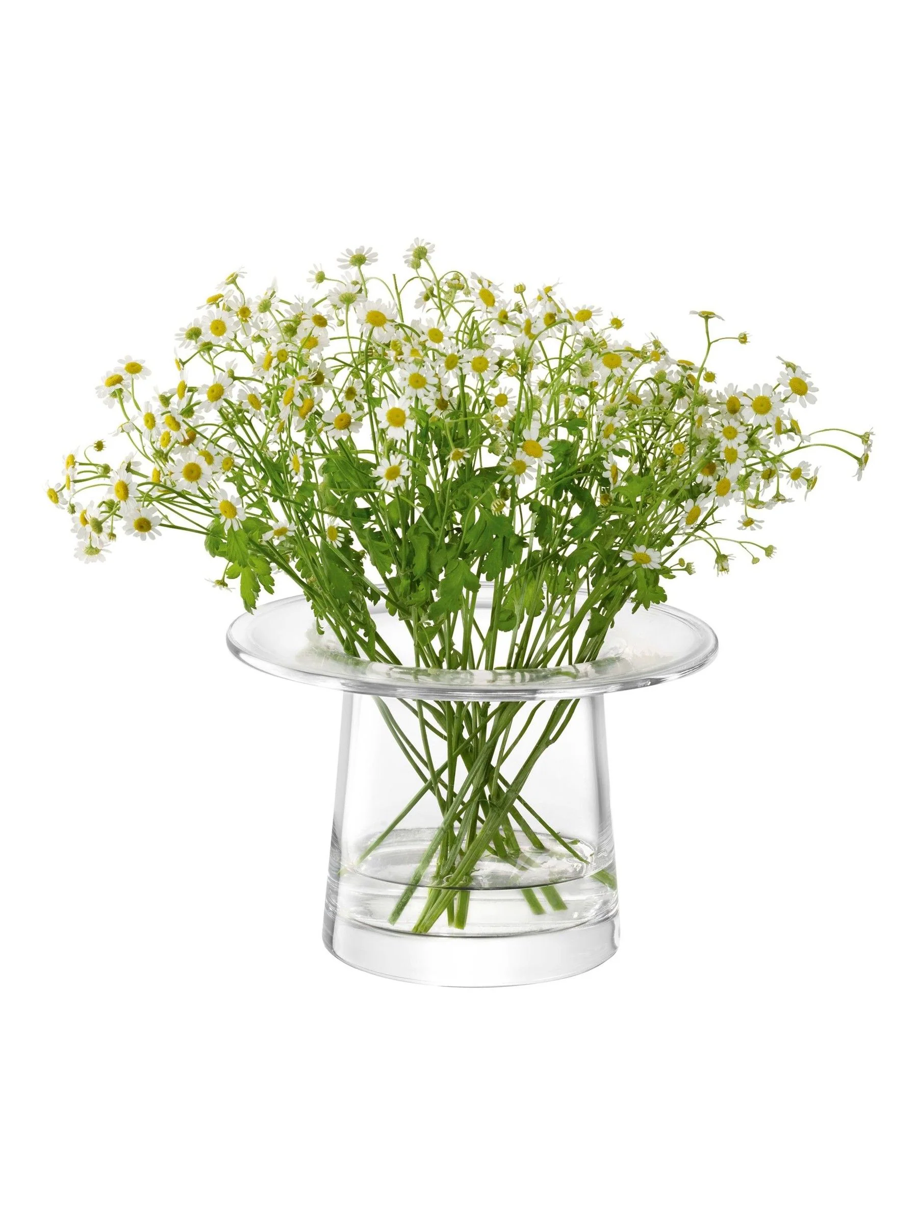 LSA International Victoria lantaarnvaas H13.5cm
