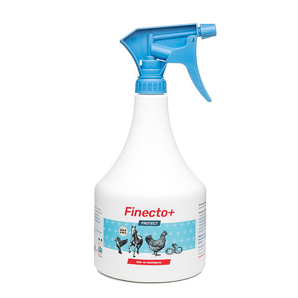 Finecto+ Protect Sprayflacon 1000 ml