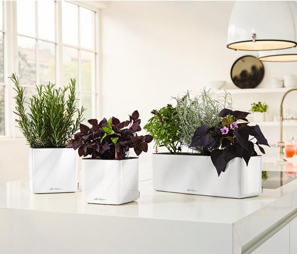 LECHUZA® CUBE Premium, All-in-One Set,