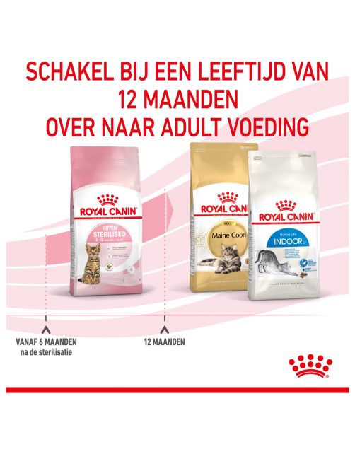 Royal Canin Kitten Sterilised - Kitten-Kattenvoer