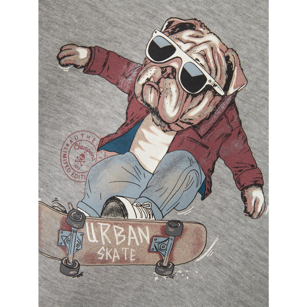 Køb Name It Grey Melange Tehogo Sweatshirt