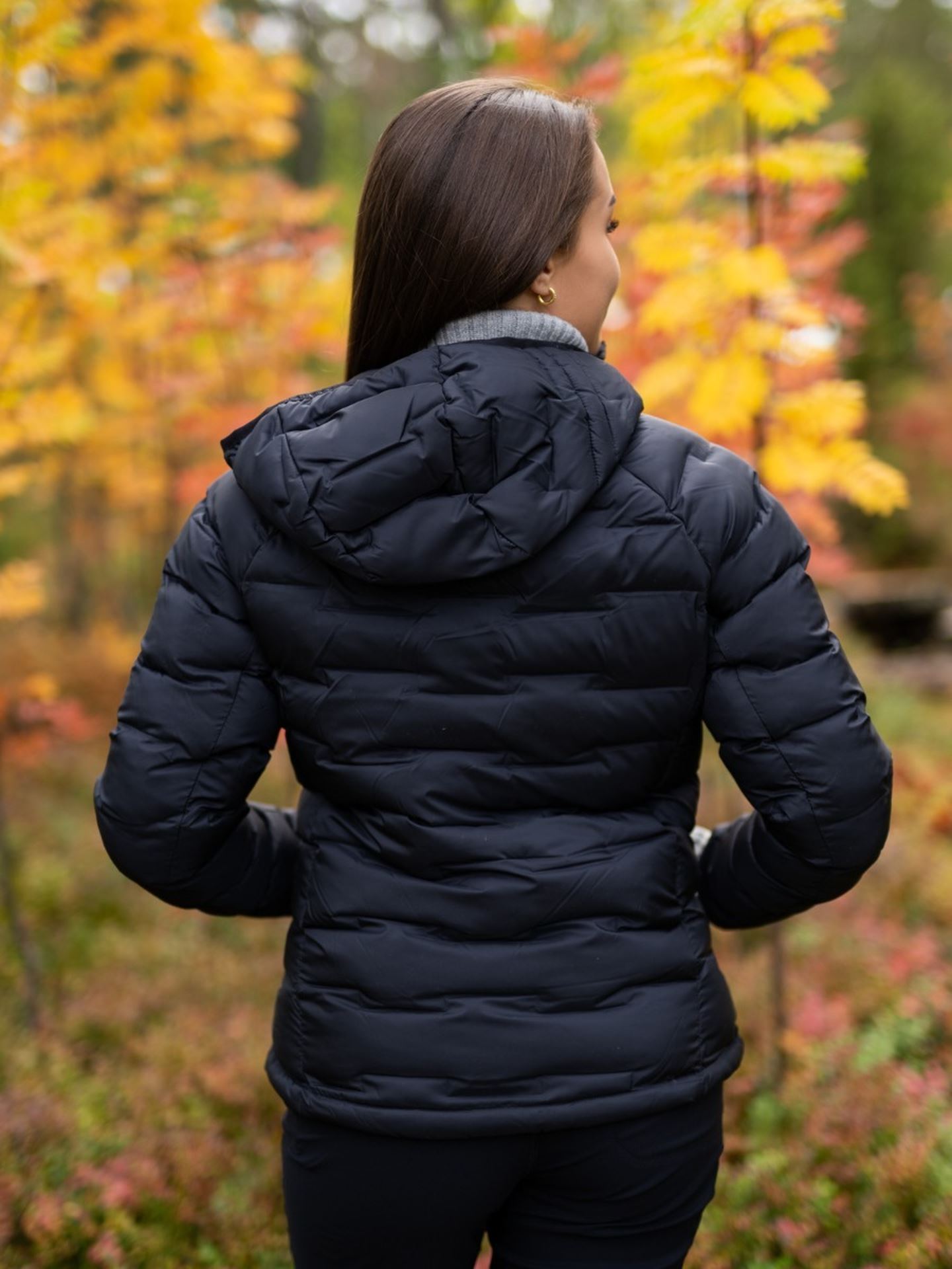 Argon Hood Jacket