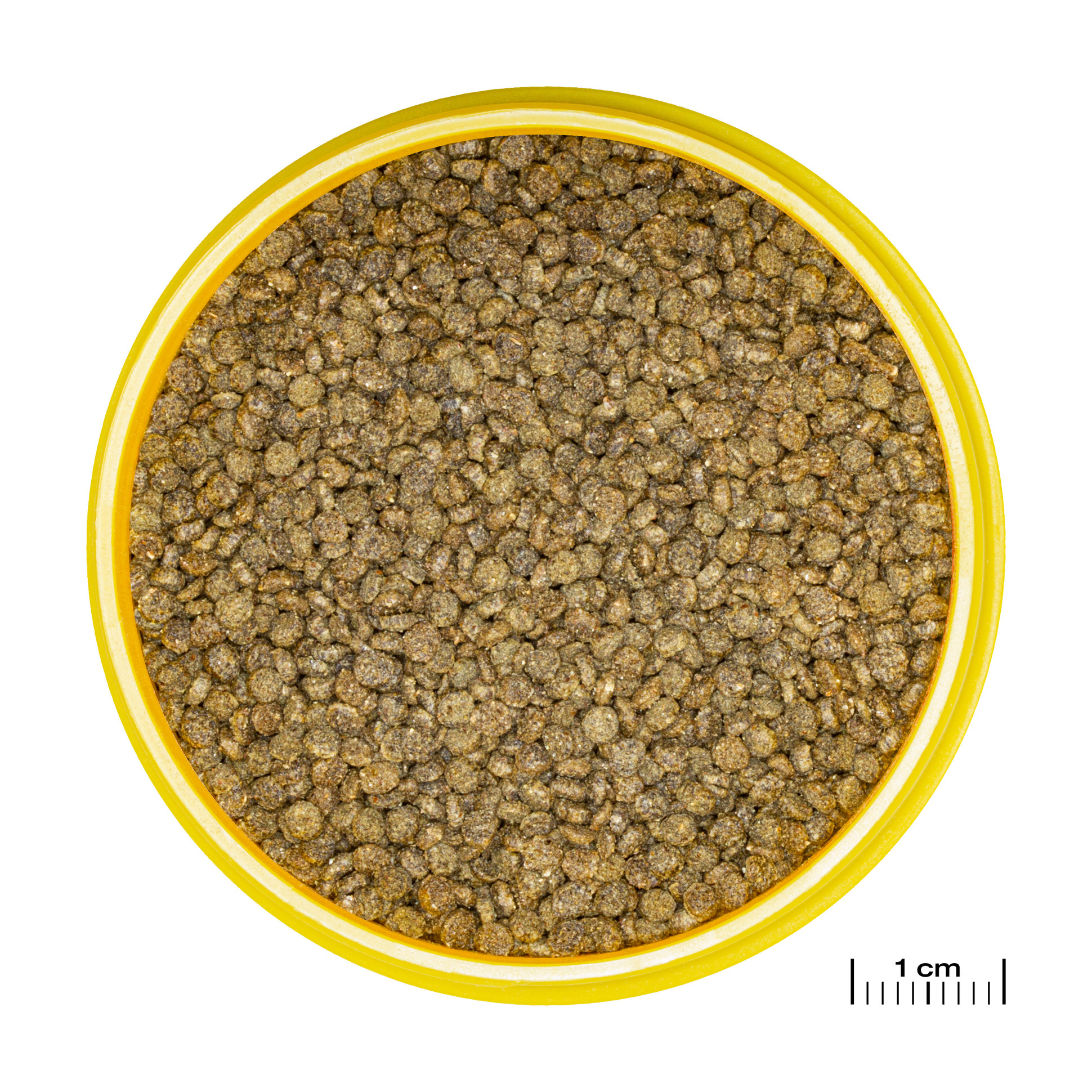 JBL Pronovo Gourami Grano S 250ml Click | Zinkend granulaat