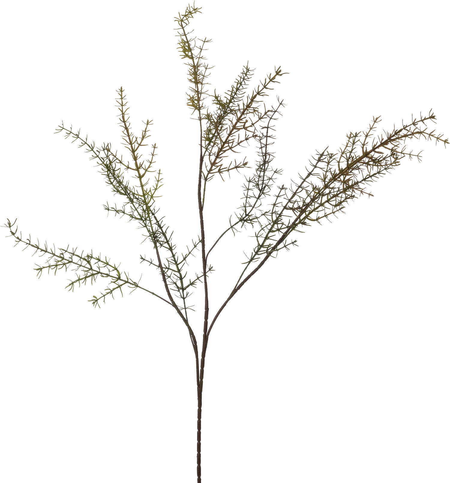 Intratuin kunstbloem Rozemarijn rood groen 102 cm