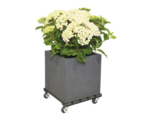 Plantenwagen WPC 29 x 29 cm max. draagvermogen 80 kg antraciet