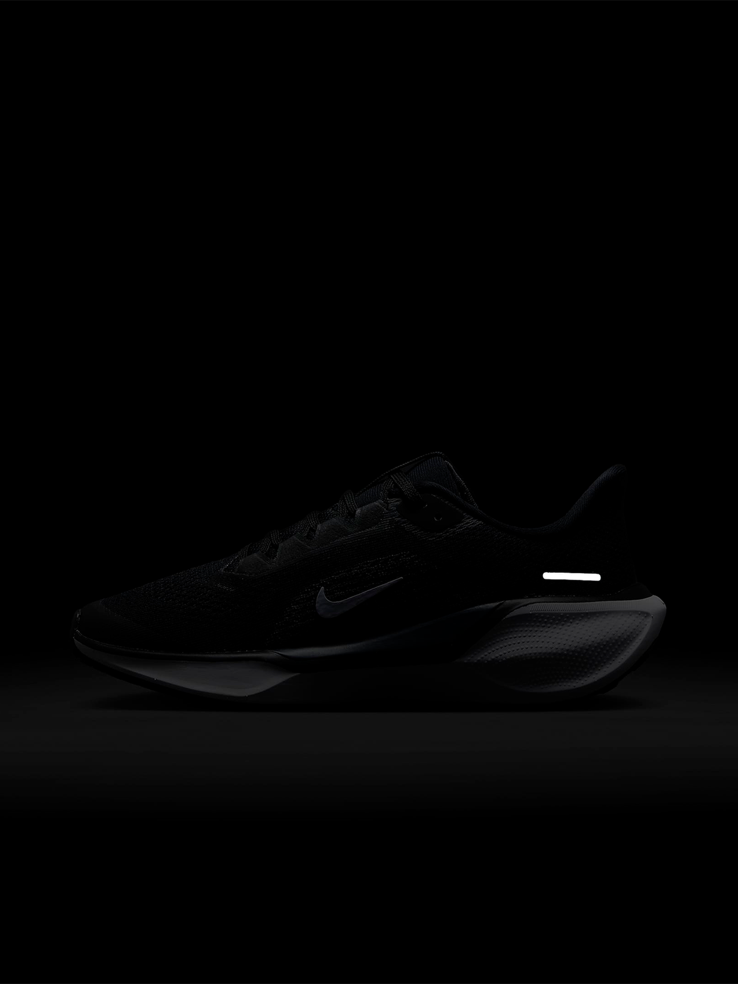 Pegasus 41