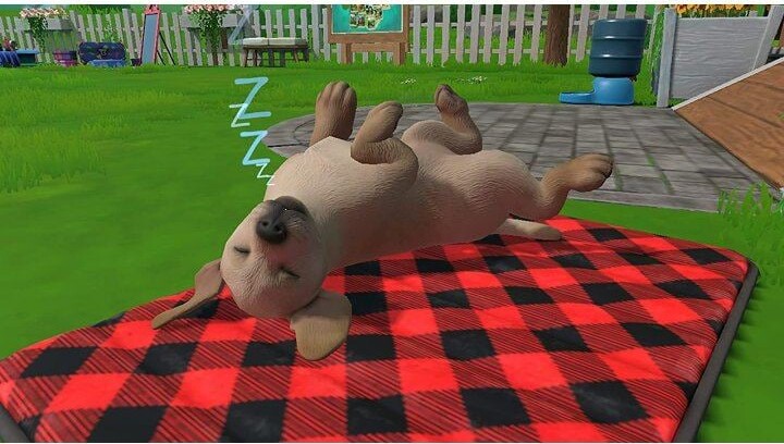 Little Friends: Puppy Island - Nintendo Switch