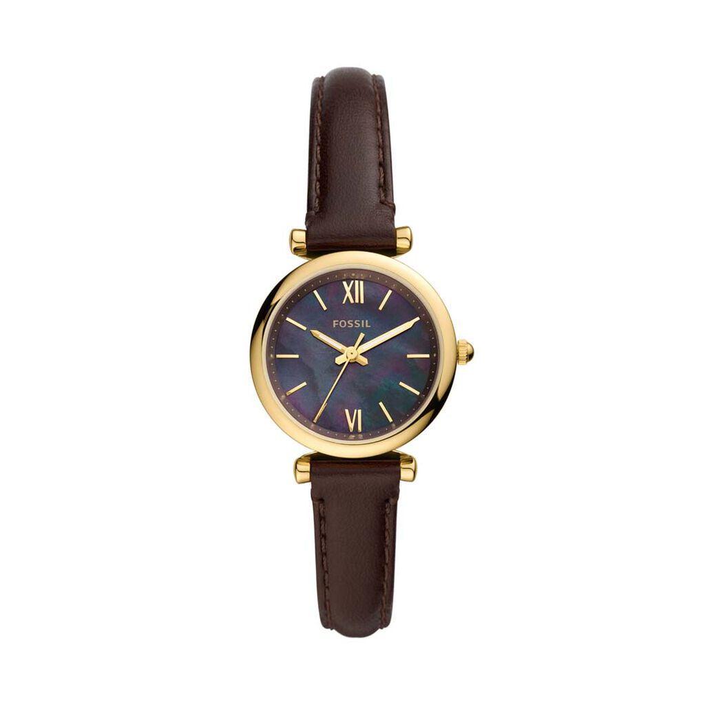Montre  Fossil Carlie Mini Multicolore