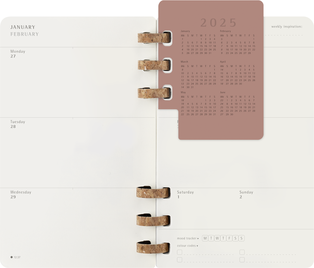 Life Planner 2025 L 12-Month, Spiral