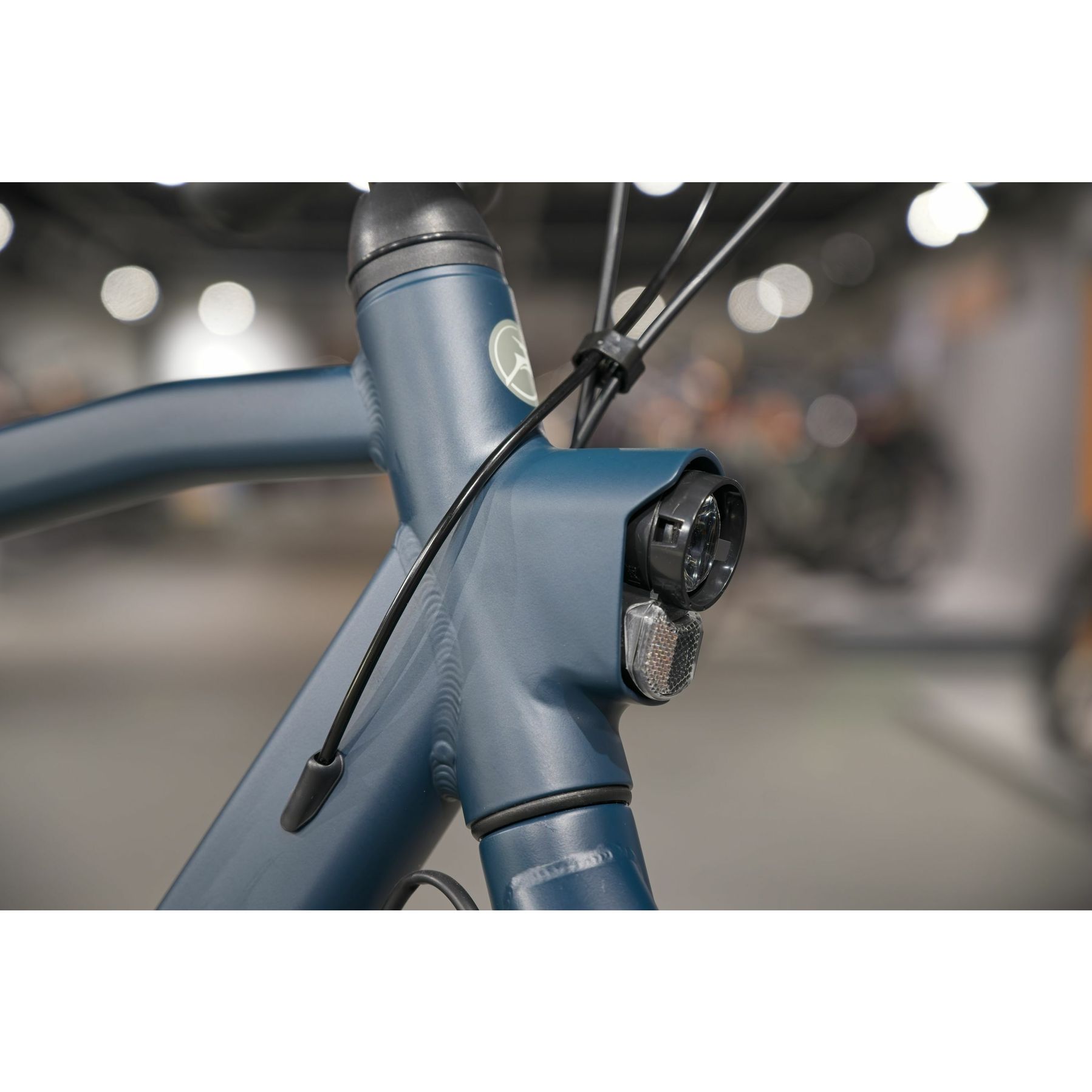 Gazelle Esprit T7 Belt 2026