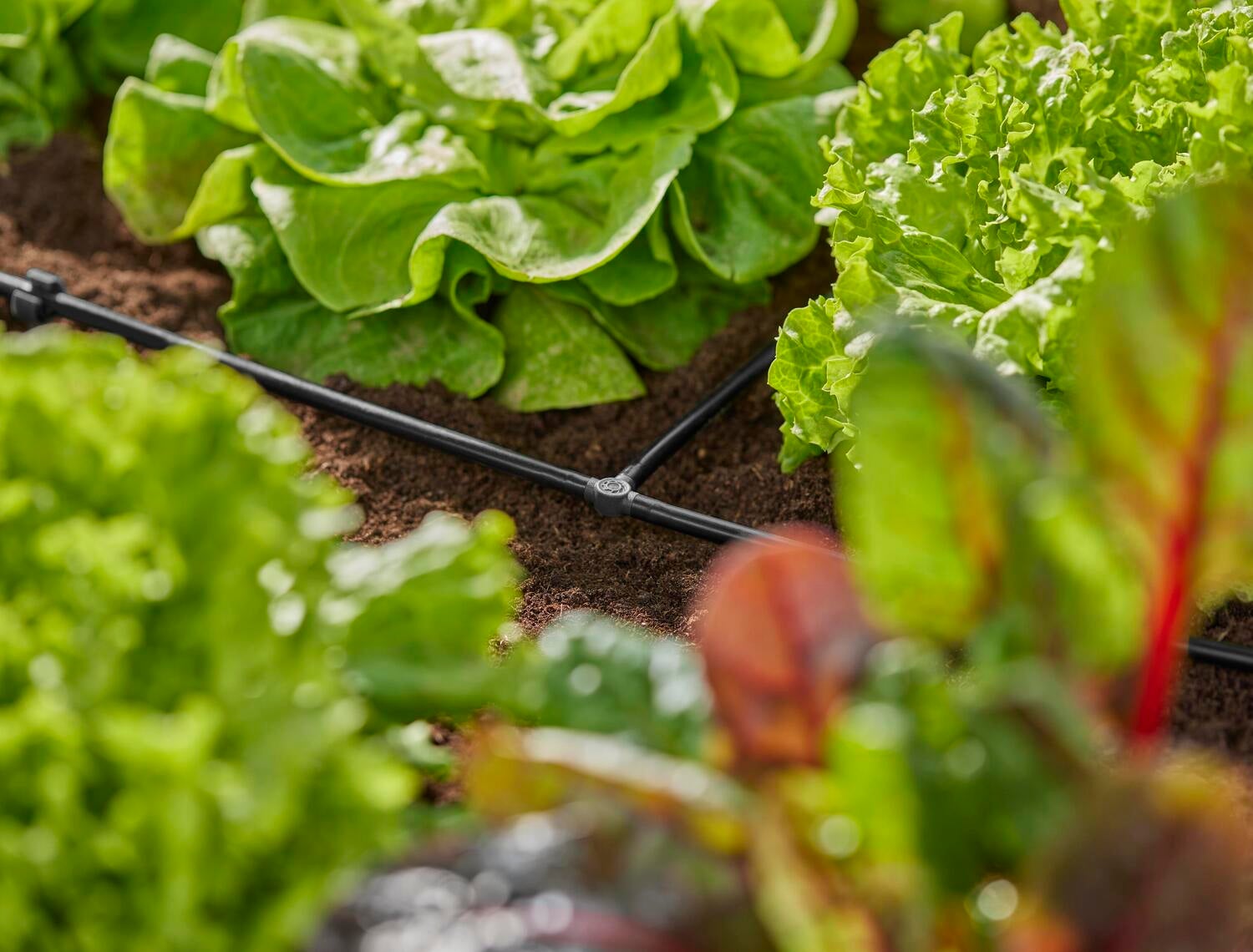 Gardena Micro Drip systeem T-stuk 4,6 mm (3/16 inch)