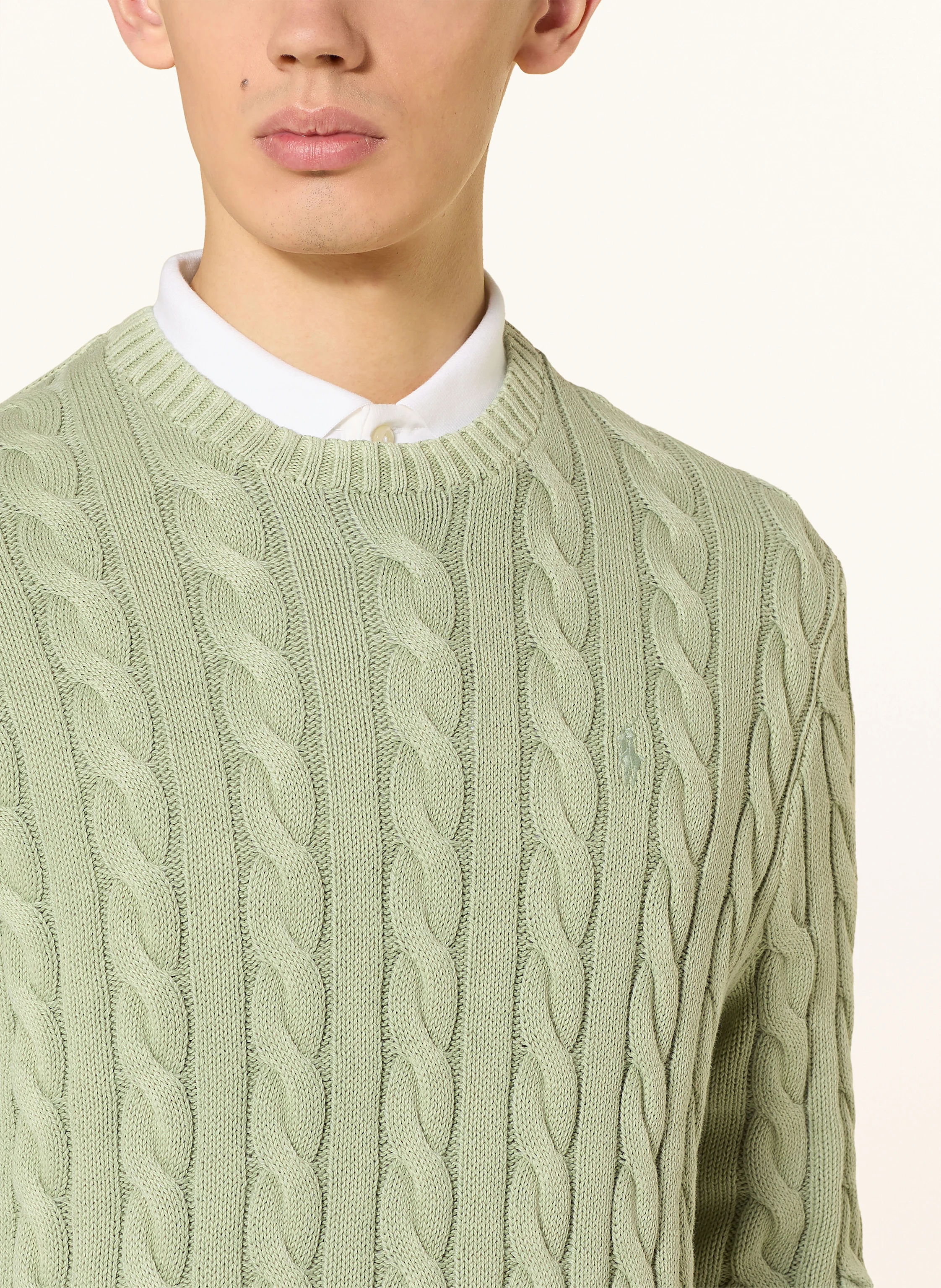 POLO RALPH LAUREN Pullover