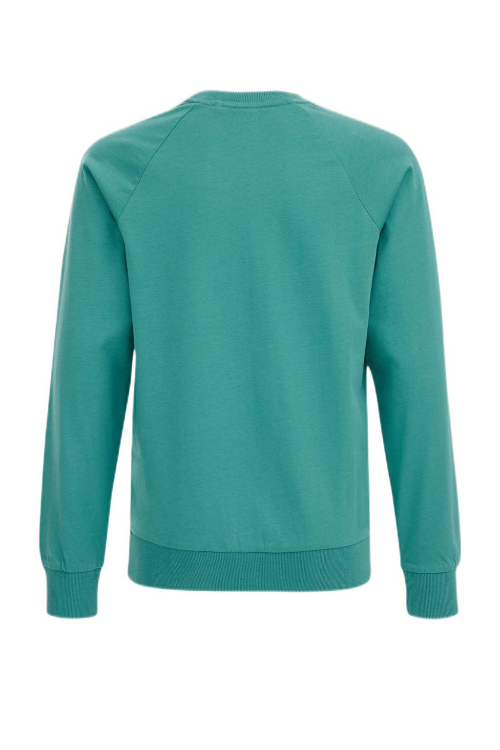 Salty Dog longsleeve met printopdruk groen