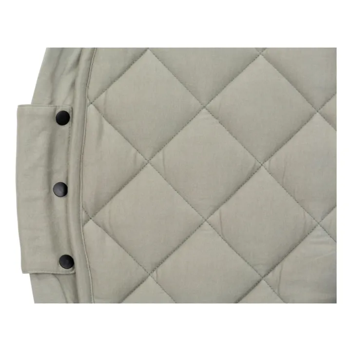 Play and Go Sac / Tapis d'éveil | Sauge
