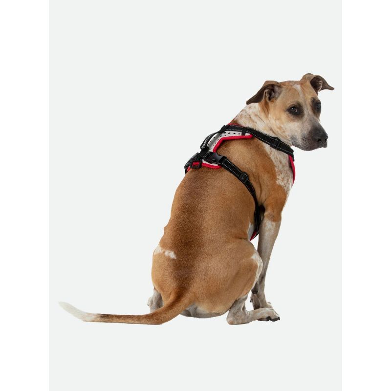 K9 Reflective Dog Harness - Harnais pour chien