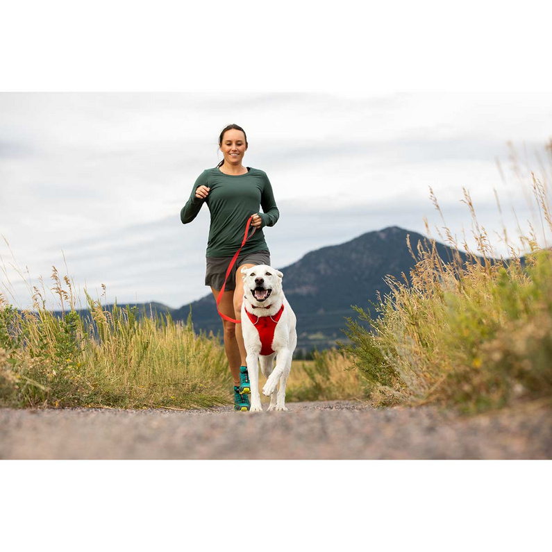 Ruffwear Front Range Harness Hundegeschirr