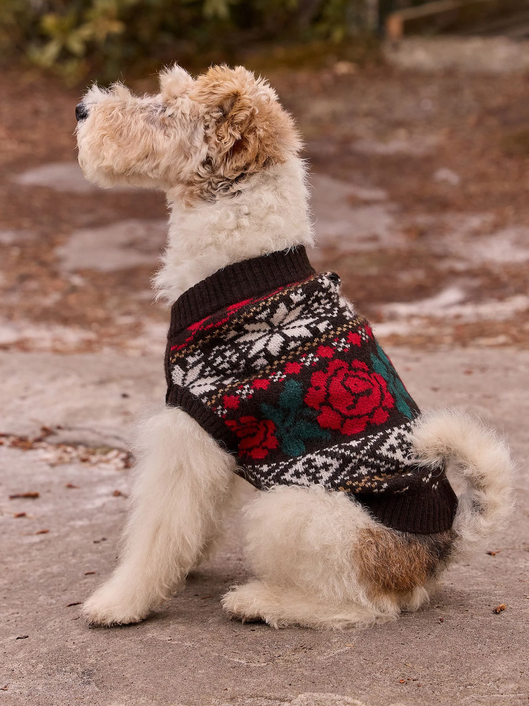 Chocoladebruin Fairisle - Knitted Dog Jumper With Wool
