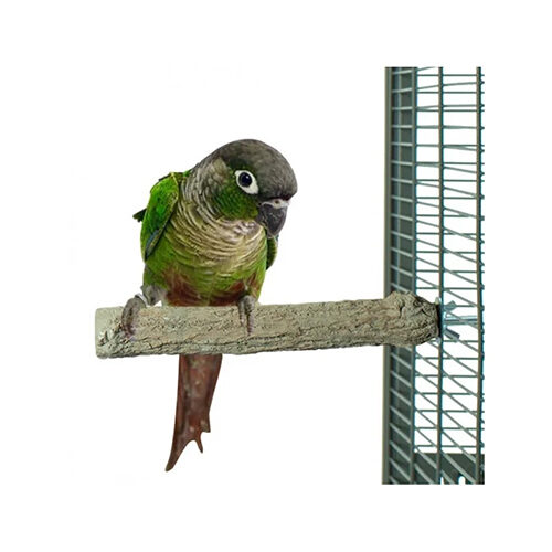 Back Zoo Nature Super Stone Perch