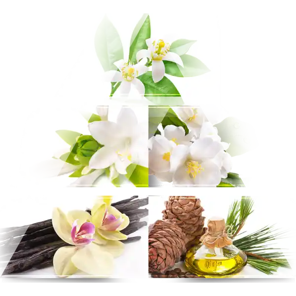 Magnolia, EdP 60 ml