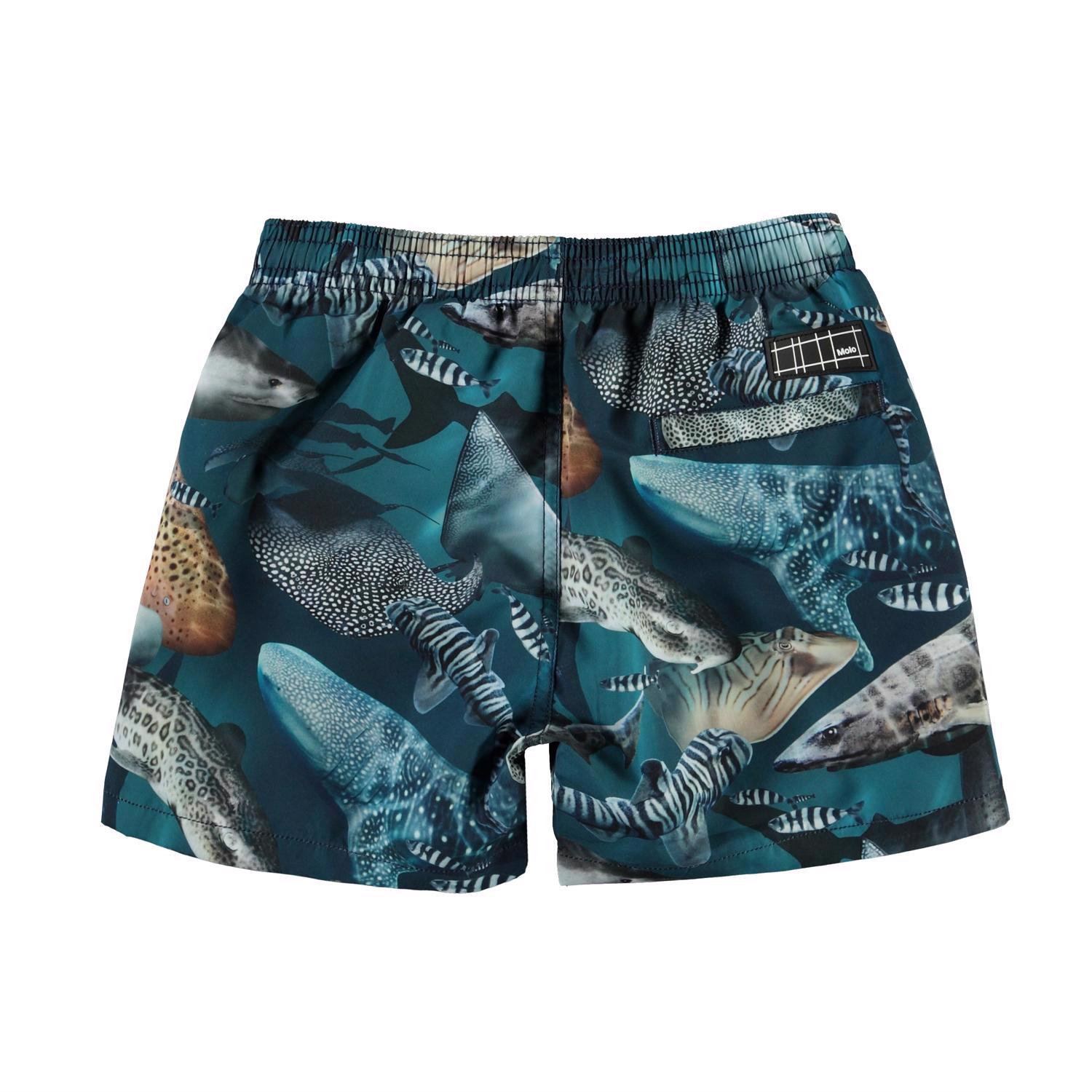Niko - Amazing Sharks