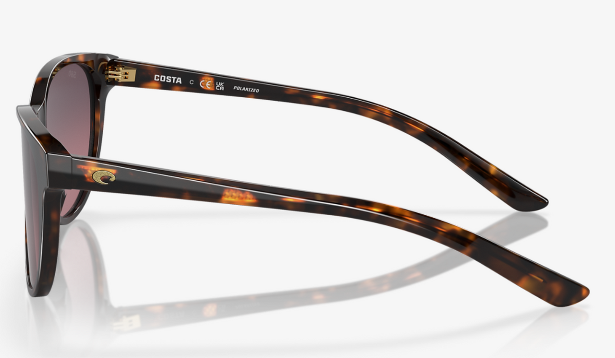 Costa<br>Catherine Tortoise