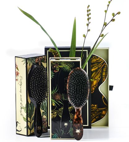 Fan Palm H?rb?rste - Medium - Turtle